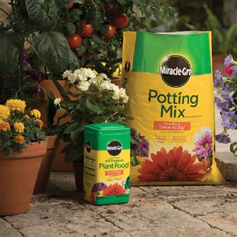 The Science of Garden Magic Potting Soil: Why It Works